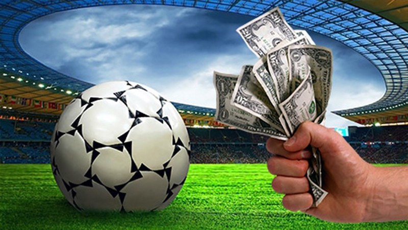 All You Need to Know About Betwinner
