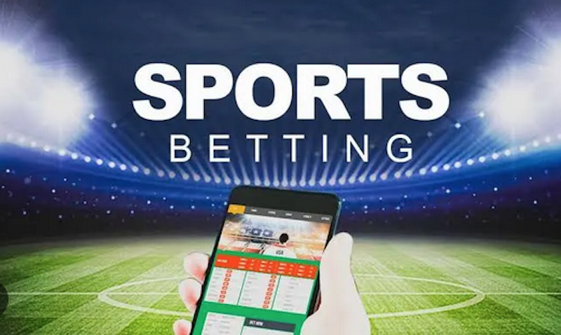 Betwinner The Ultimate Betting Experience