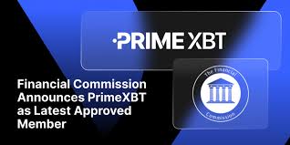 Comprehensive Cardano Price Prediction on PrimeXBT What to Expect