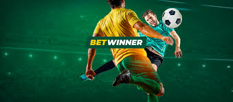 Comprehensive Overview of BetWinner Services in Vietnam