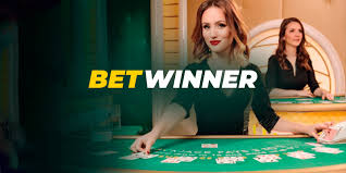 Comprehensive Overview of BetWinner Services in Vietnam 2