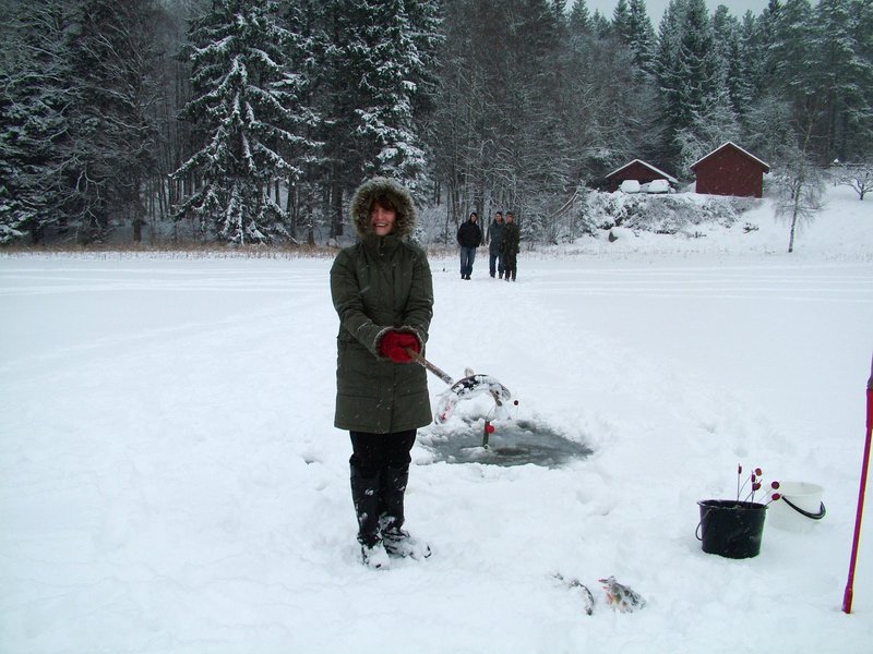 Eisköder online spielen - Das ultimative Spielerlebnis auf deutschem Eise