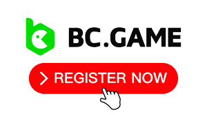 In-Depth Reviews of BC.Game An Analysis of User Experiences